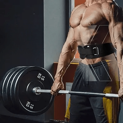 Ceinture pour la musculation - FitnessWaistBelts™ - Noir - La cabane fitness